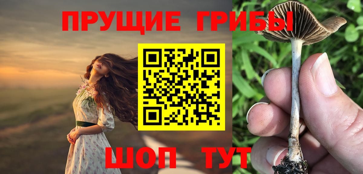 Сланцы  Галлюциногенные грибы Magic Shrooms  Вход с VPN 